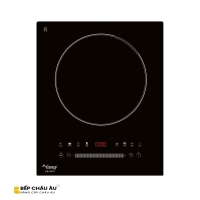 Bếp từ đơn Canzy CZI 1077